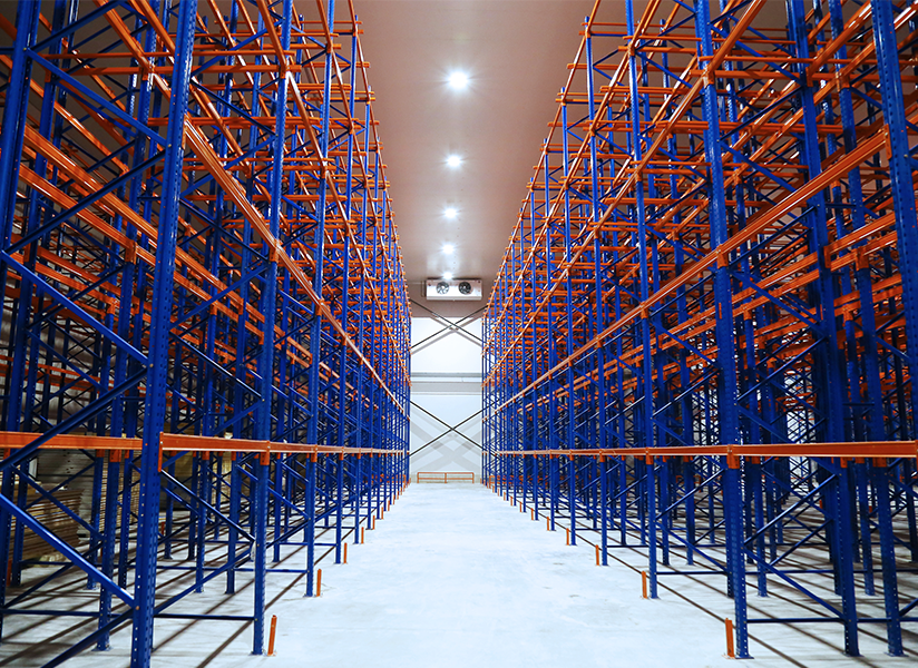 Khai truong kho lanh Mega Warehouse